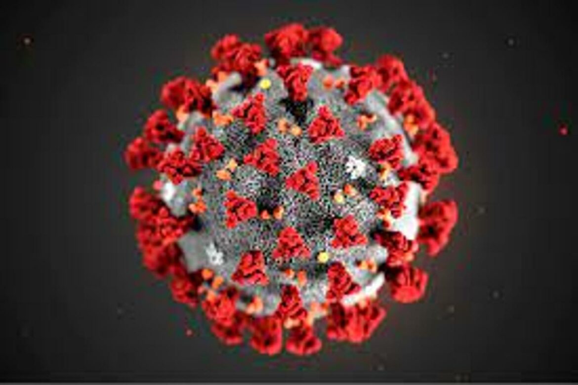 59 novih slučajeva koronavirusa