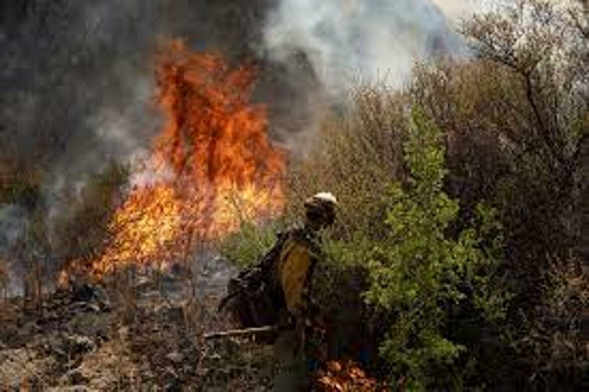 Šumski požar prijeti „kulturnim genocidom“ u selima u Novom Meksiku