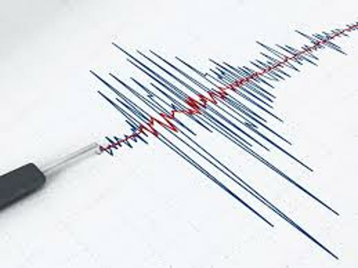 Zemljotres 4,8 Rihtera pogodio BiH