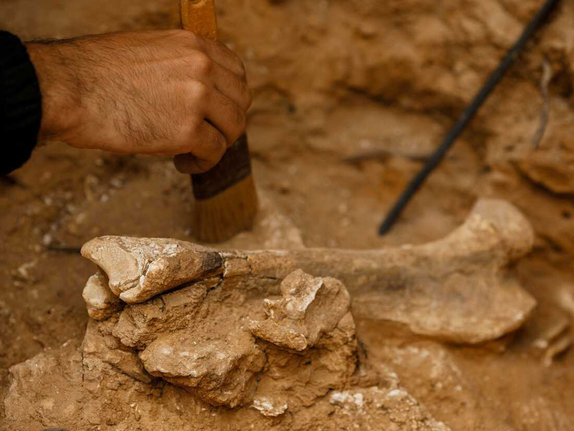 Arheologija: Zabrana klasifikovanja ostataka kao muških ili ženskih