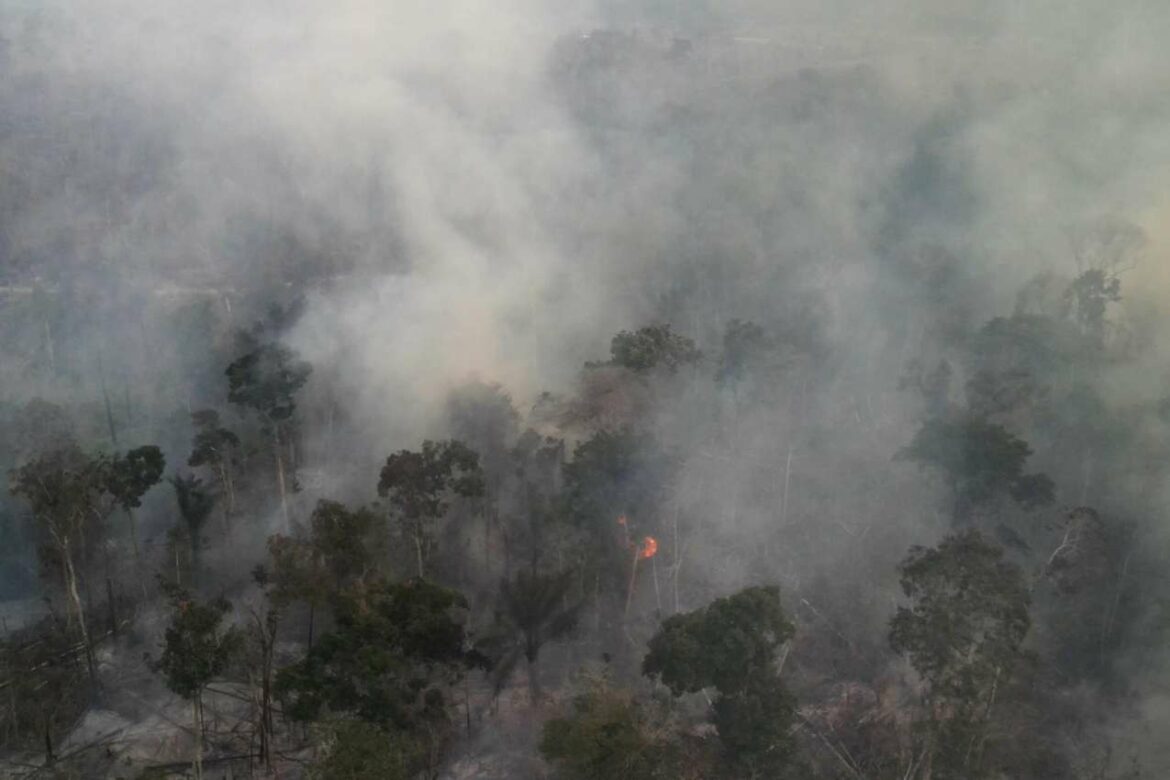 Broj požara na Amazonu u Brazilu dostigao je petogodišnji maksimum u avgustu