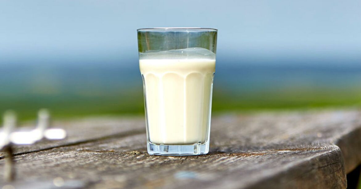 Prijeti nestašica mlijeka