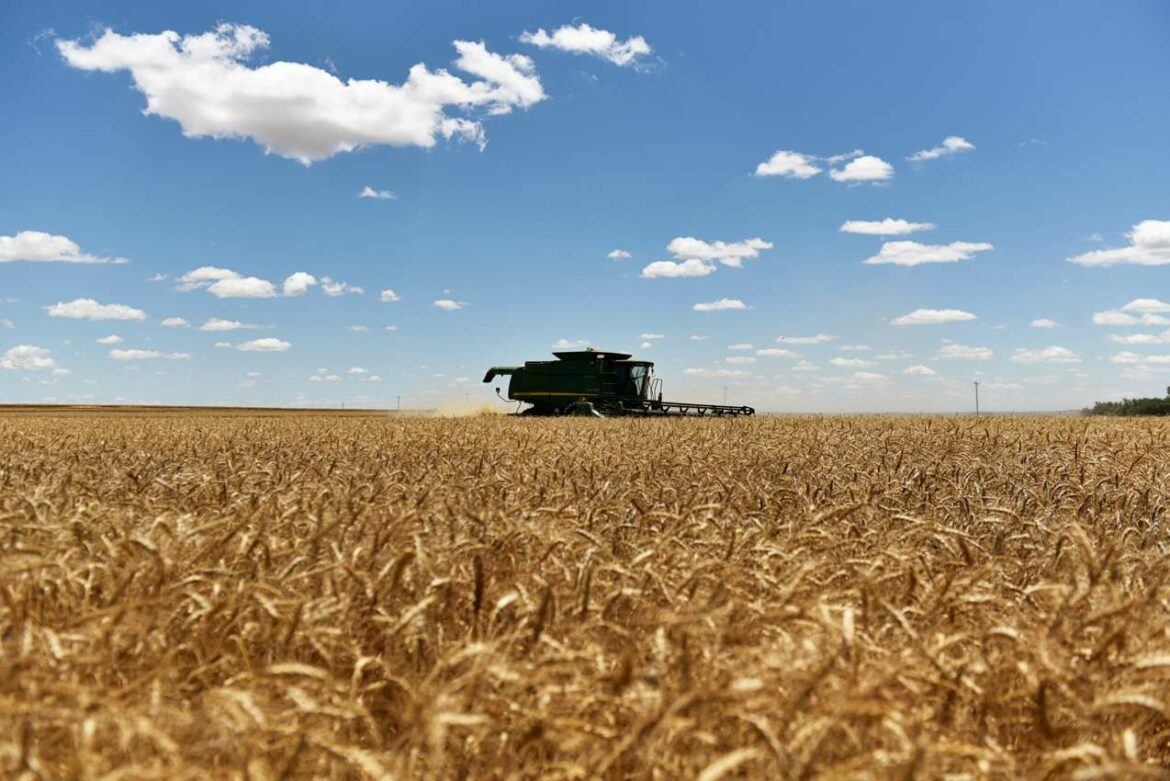 Pšenica je porasla za više od 5% pošto se Rusija povukla iz crnomorskog izvoznog sporazuma