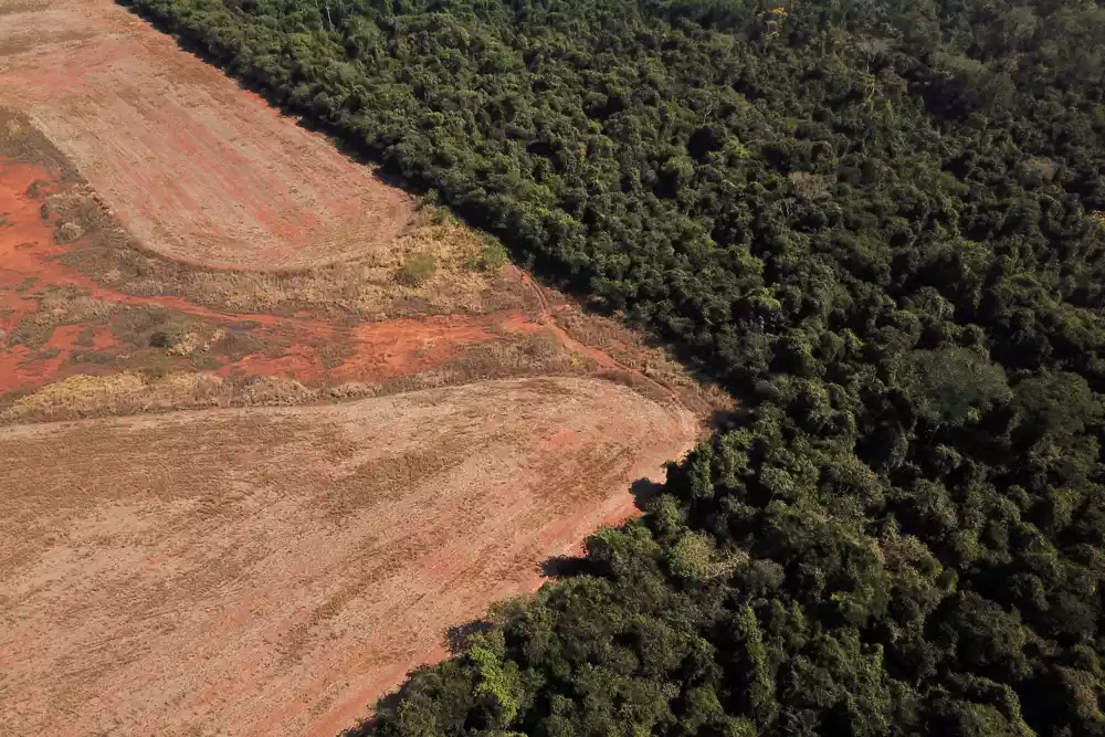 Krčenje šuma u ​​brazilskoj savani Serado dostiglo je sedmogodišnji maksimum