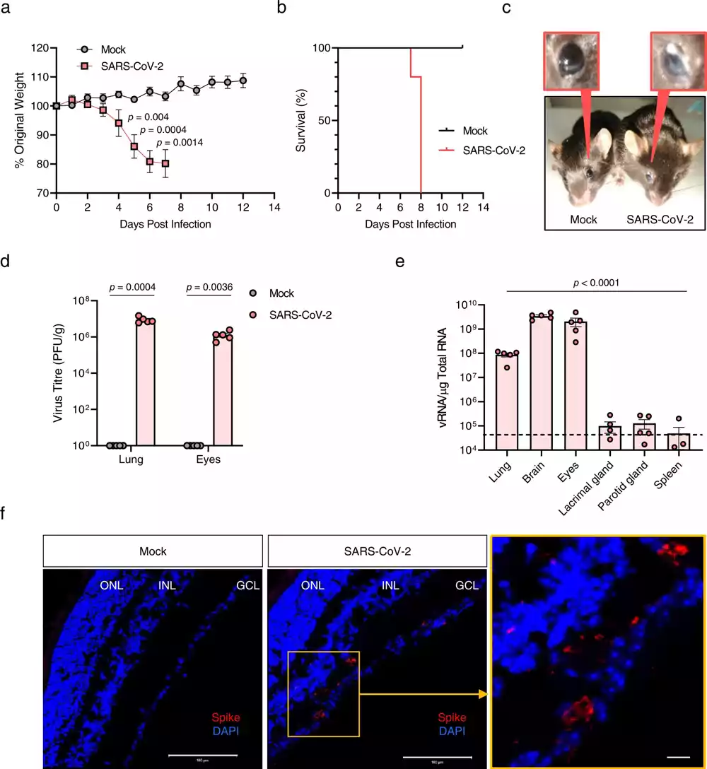 Virus COVID-19 može uticati na vid i percepciju dubine