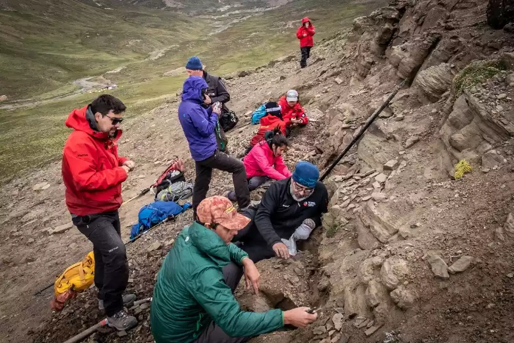 Četiri vrste dinosaurusa pronađene po prvi put u čileanskoj dolini: studija