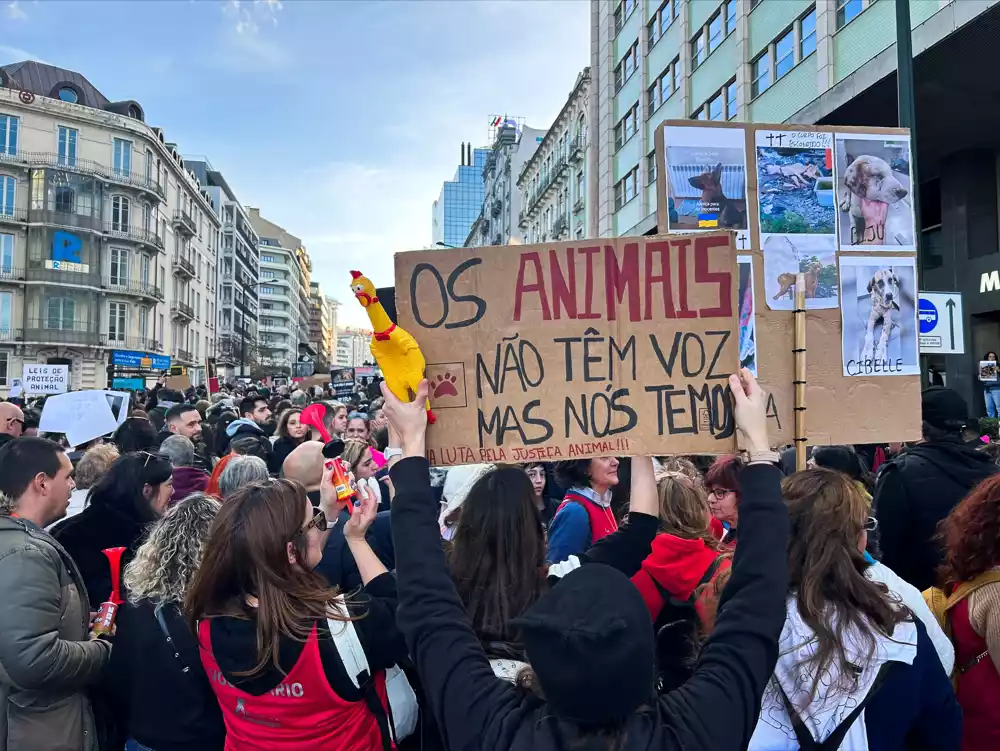 Hiljade ljudi protestuju u Lisabonu zbog prava životinja usred ustavnog spora