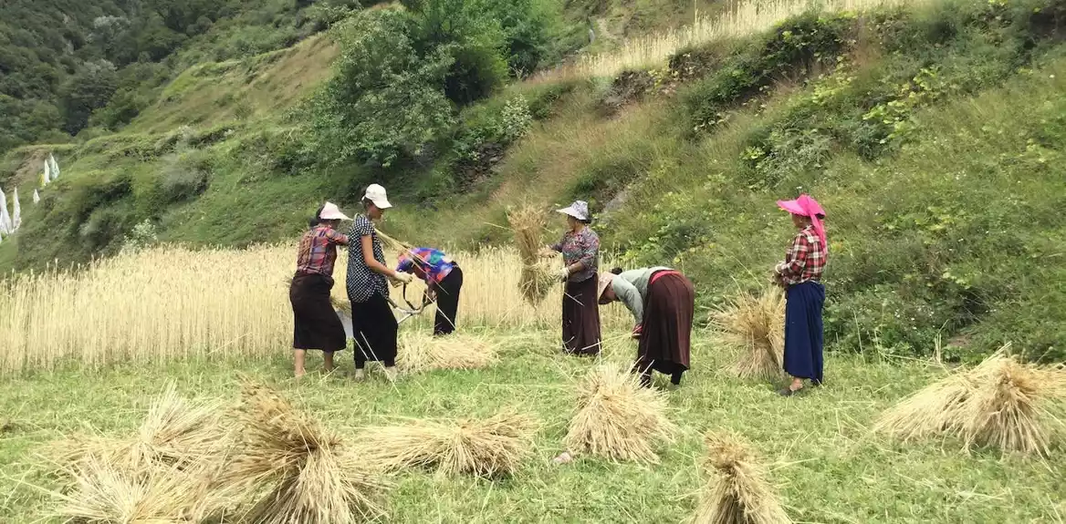 Žene rade više od muškaraca: Antropološka studija otkriva zašto