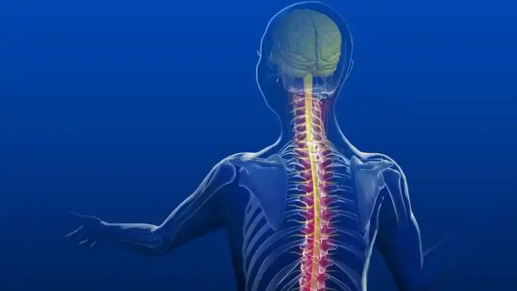 Bol u leđima: Prevencija i lječenje kičmenog artritisa
