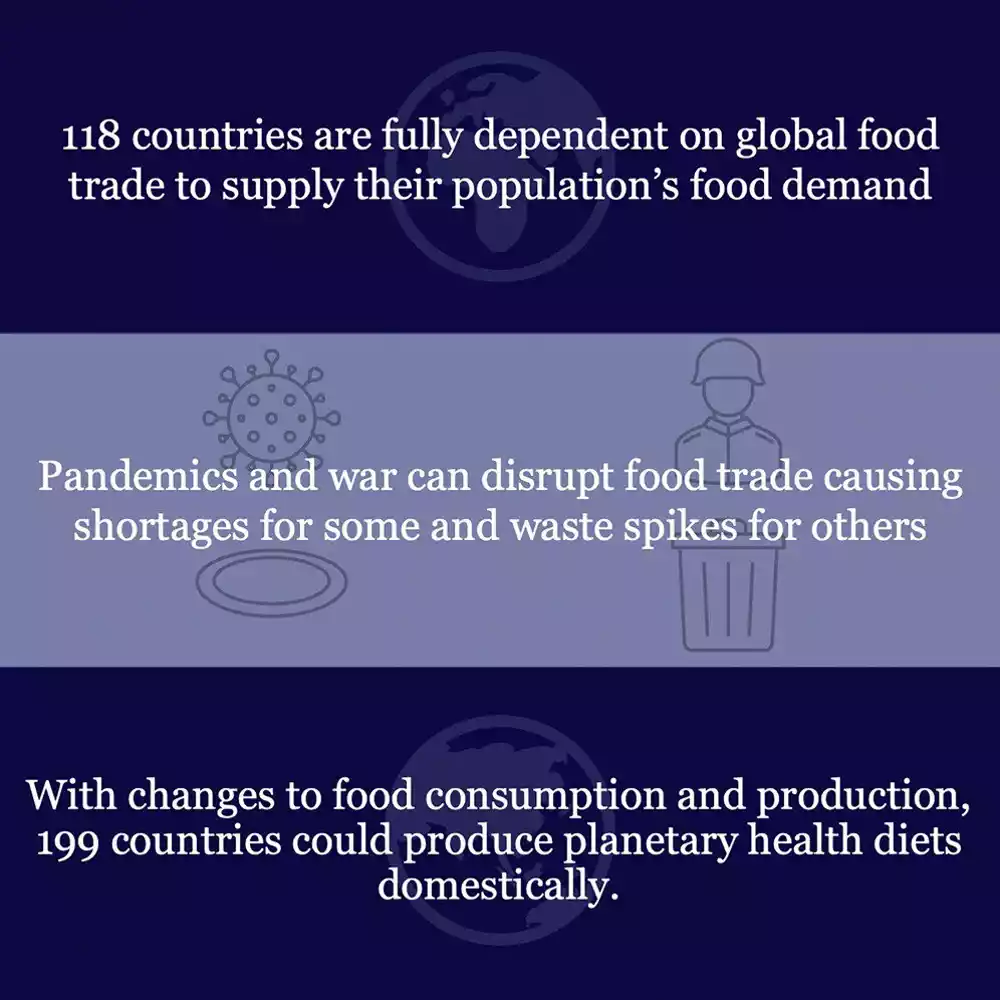 Da li je moguće da zemlje proizvode svu svoju hranu na nacionalnom nivou?