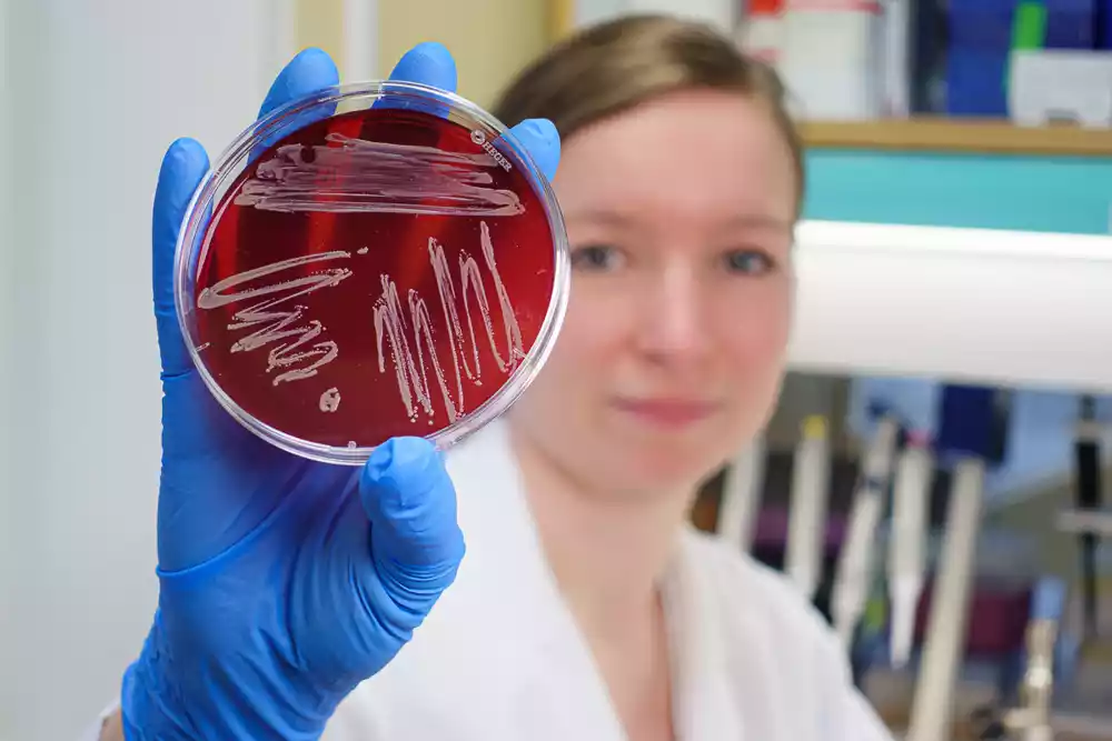 Studija dokazuje da crveno svetlo podstiče rast Haematococcus pluvialis