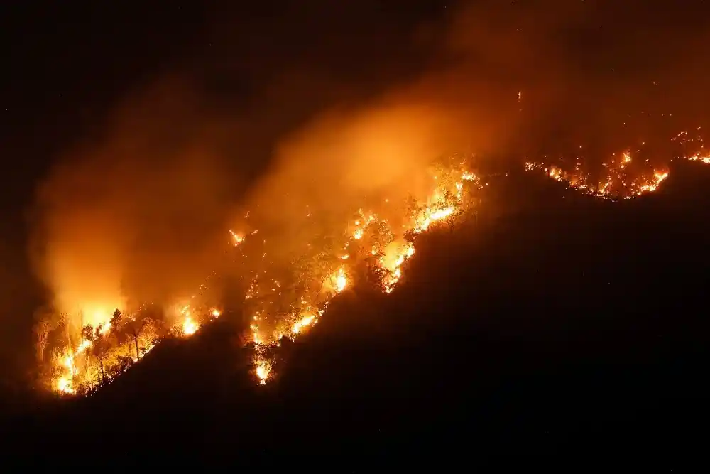 Tajlandski vatrogasci se bore sa šumskim požarom