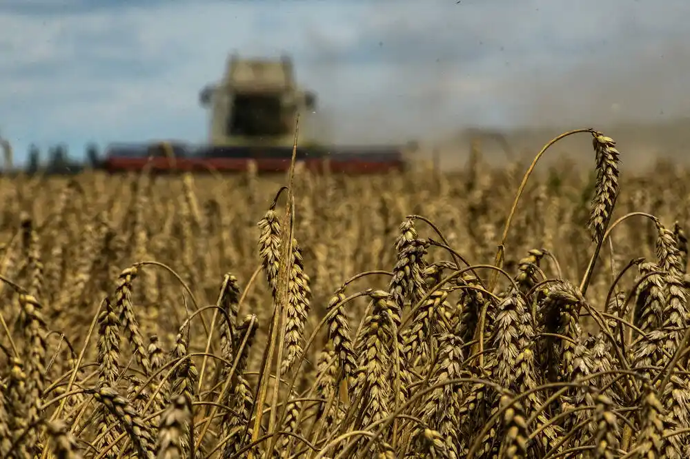 Poljska će testirati kvalitet ukrajinskog žita koje joj stiže zbog protesta poljoprivrednika