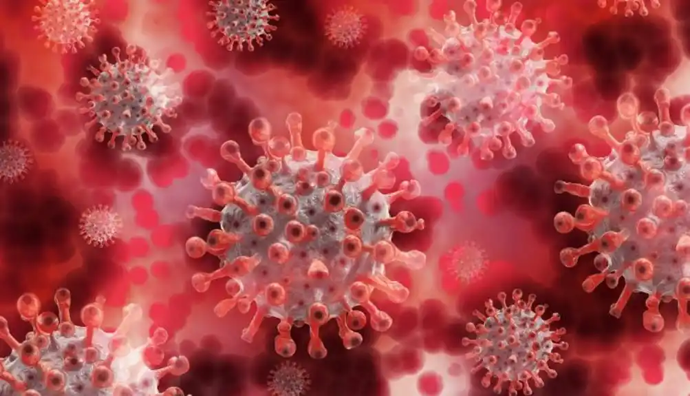 Preminula jedna osoba, registrovano 58 novih slučajeva koronavirusa