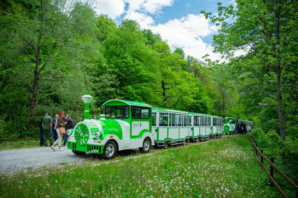 Vratiti voziće u NP “Biogradska gora”