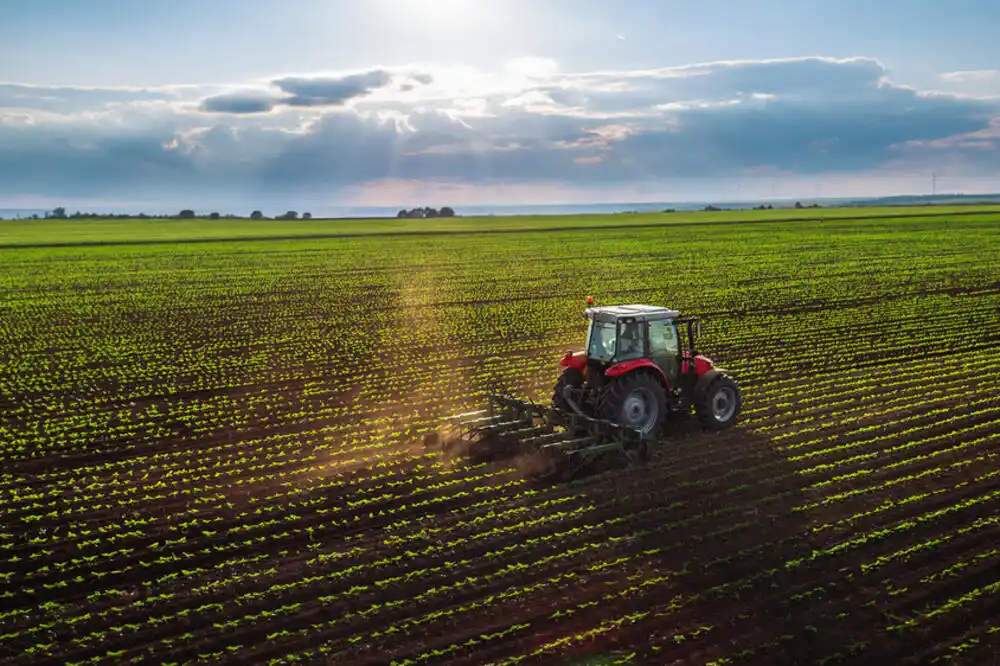 Uloga države u razvoju poljoprivrede i ruralne privrede u Crnoj Gori