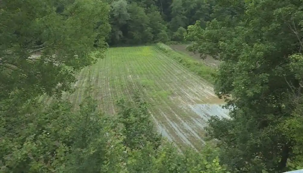 Petnjičanin prijeti štrajkom glađu ako mu Vlada ne sanira štetu na imanju