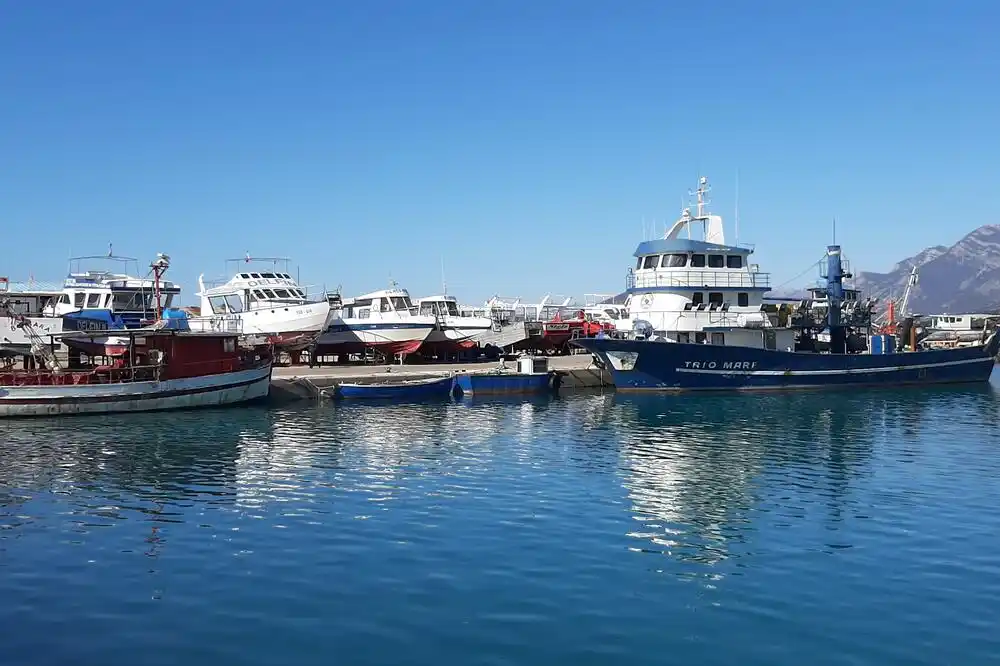 Skupština akcionara Marine Bar odbila da isplati dividende u državni budžet