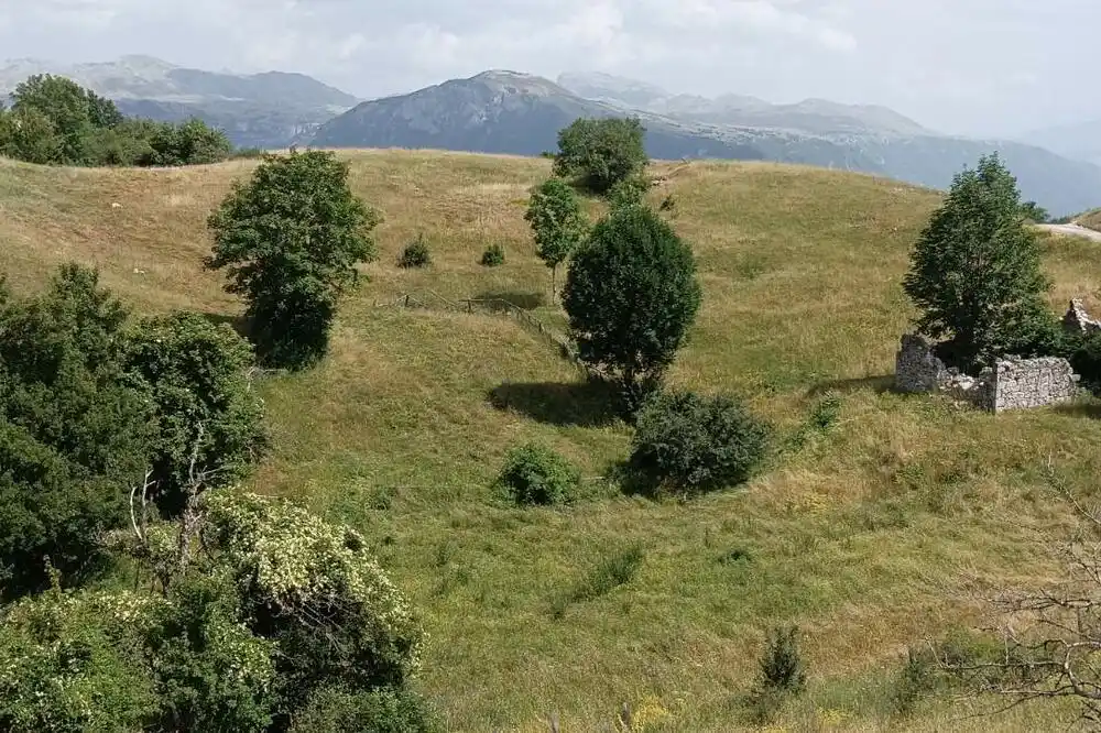 Danas sunčano, temperatura do 35 stepeni