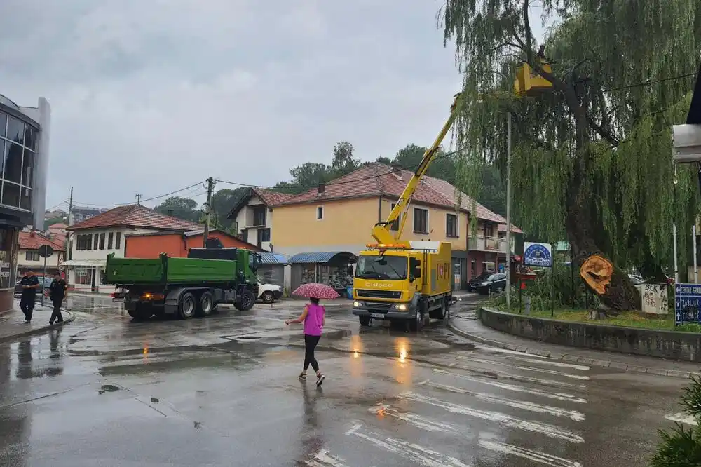 Pljevlja: Posjekli drugi dio stabla čiji je krak prije par dana pao na kolovoz