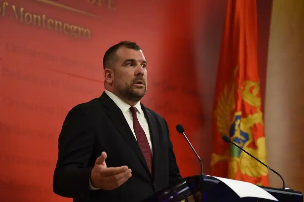 Krapović: Projekat kolektora u Budvi kriminalan, sudski proces licemjeran