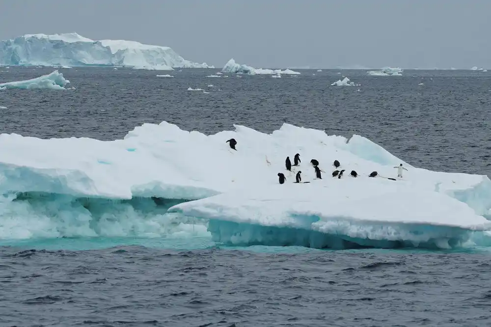 Novo upozorenje – topljenje leda na Antarktiku približava se tački bez povratka