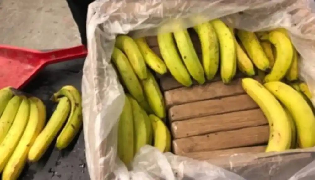 Španija: Skoro 10 tona kokaina skriveno među kutijama banana