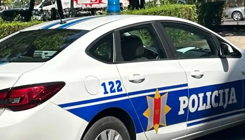 Kontrola u mjestu Brlja: Nikšićaninu 20 dana zatvora, vozio za 3,79 promila alkohola u krvi