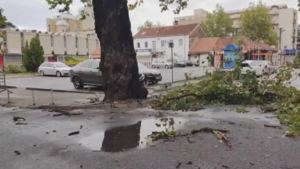 Veliko nevrijeme sinoć u Podgorici: Jak vjetar čupao stabla, šteta na automobilima