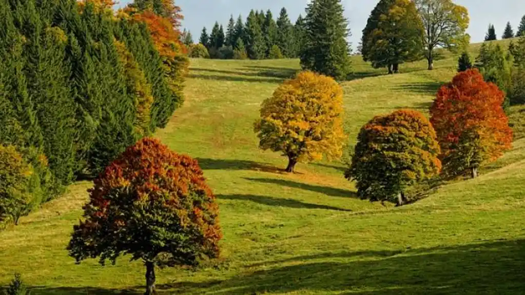 Danas pretežno sunčano, temperatura do 30 stepeni