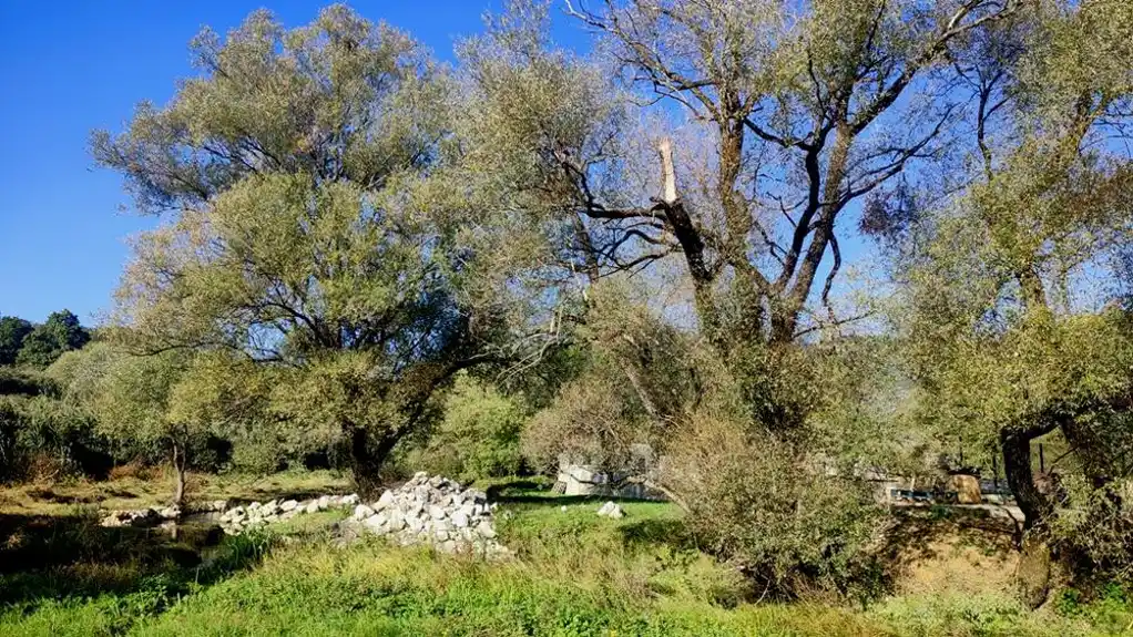 Mještani Malog Brezovika tvrde da je komšija suzio korito rijeke Rastovac