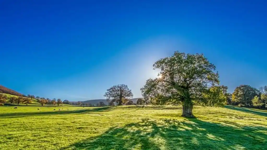 Danas pretežno sunčano, temperatura do 29 stepeni