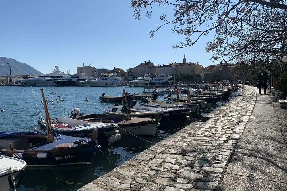 Demokrate traže da posebno preduzeće upravlja Lukom Budva