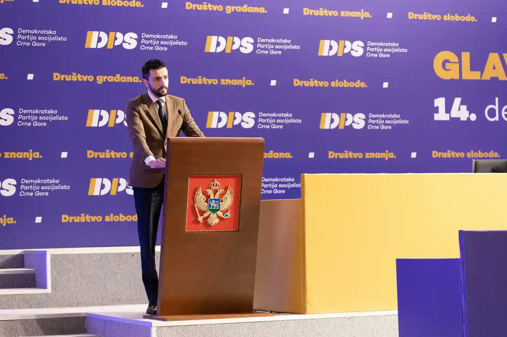 Živković: Pokazali smo opredijeljenost ka daljem razvoju demokratije i dostizanja evropskih standarda