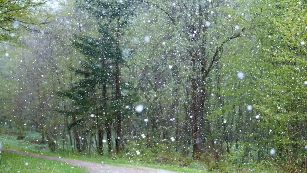 Početak vikenda obilježiće vjetar i temperatura do 11 stepeni