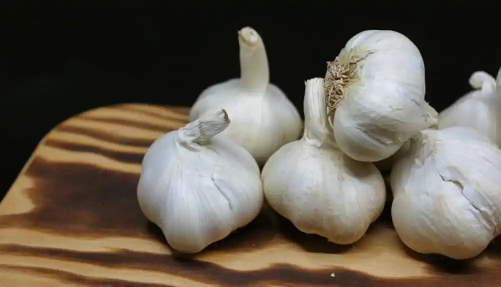 Ove namirnice postaju otrovne ako ih držite u frižideru