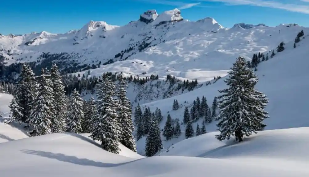 Na švajcarskim Alpima pronađena tijela pet nestalih skijaša