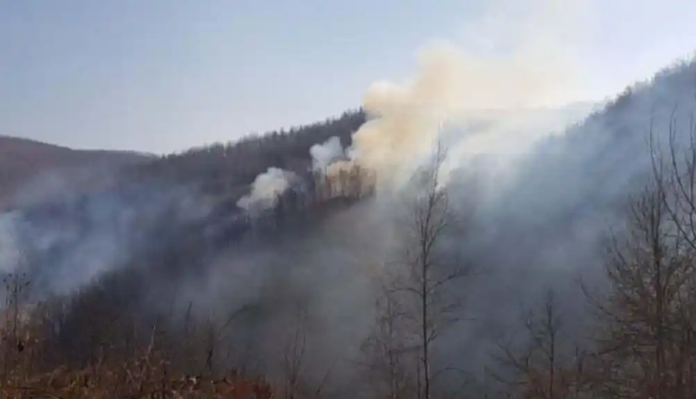 OB Bijelo Polje traga za licima koja su izazvala požare