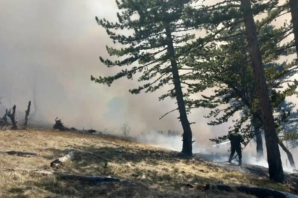 Požar na dijelu Prošćenskih planina ne jenjava, vatra zahvatila i dio NP Durmitor