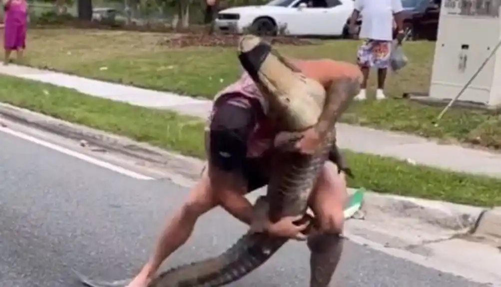Srbin ulovio aligatora na ulici