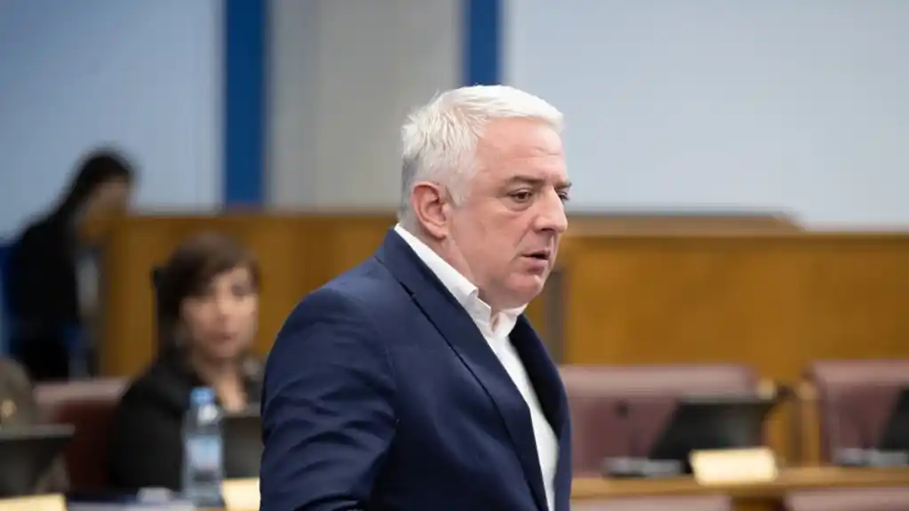 Vučurović izabran za novog predsjednika Izvršnog odbora Nove srpske demokratije