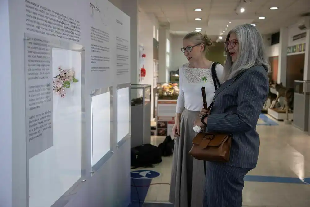 Izložba Ekatarine Romanove u Prirodnjačkom muzeju: Zapanjujuća ljepota biljki i razigranost staklenih perli