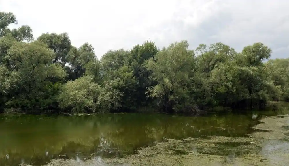 Krivolovci udarili u plovilo nadzornika Skadarskog jezera, pobjegli poslije potjere: Plovna jedinica policije nije pružila asistenciju