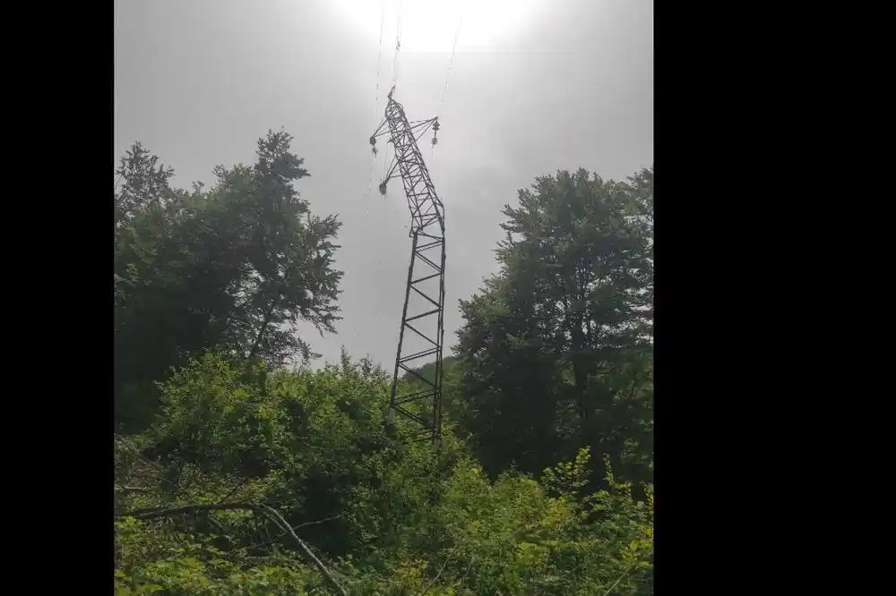 CEDIS: Tokom sječe šume polomljen stub dalekovoda, područje Veruše, Trebješice, Ptiča i Kosa bez struje