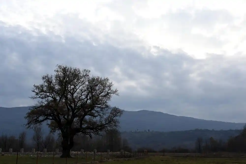 Danas oblačno, tokom noći moguća kiša