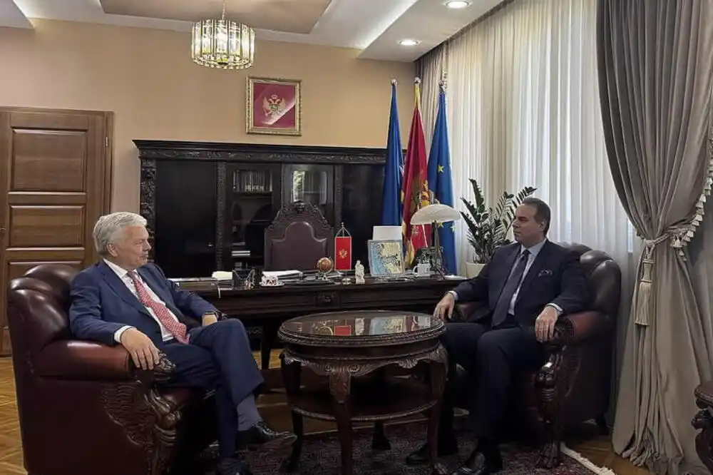 Ivanović sa Rejndersom: Crna Gora potvrđuje svoju posvećenost reformskom procesu i evropskoj integraciji