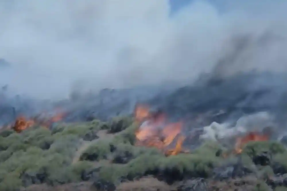 SAD: Zbog velikog požara u okolini Los Anđelesa evakuisano više od 1.200 ljudi