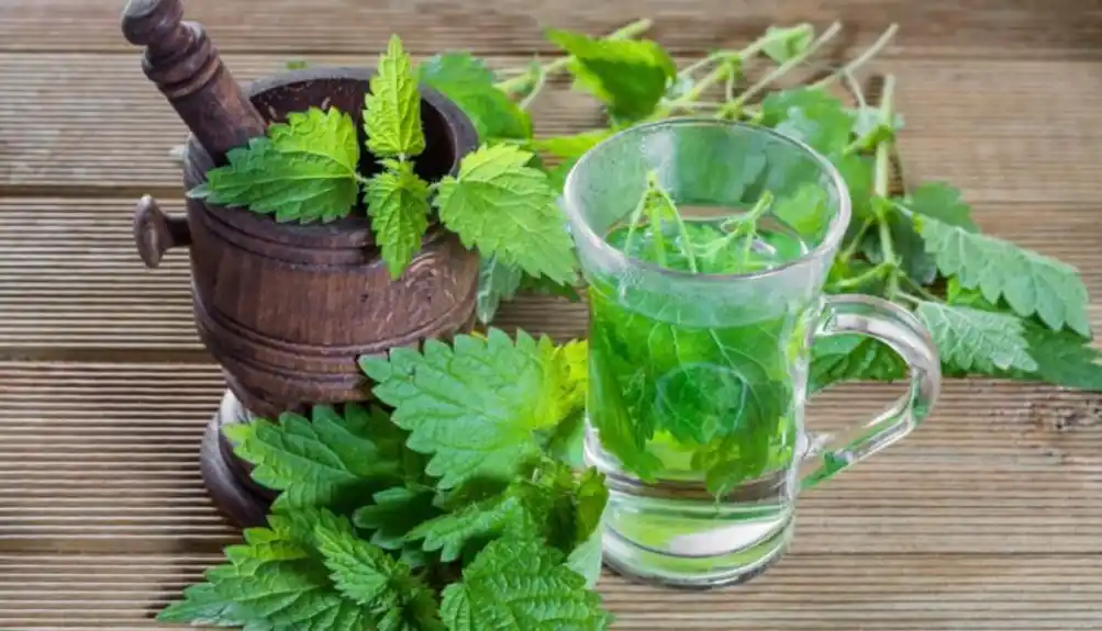 Kada biste znali koliko je zdrava, koristili biste je stalno: Svaki dio je ljekovit