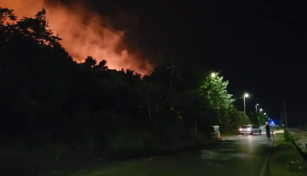 Uhapšeni osumnjičeni za izazivanje požara na Gorici