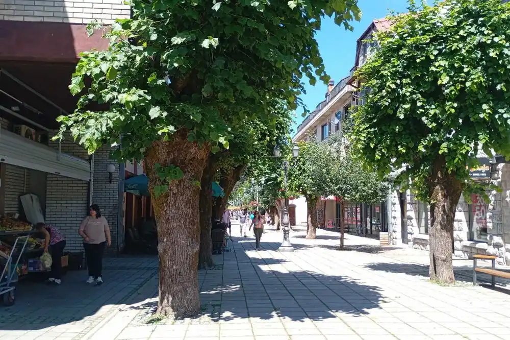 Čestitke povodom Dana opštine Kolašin